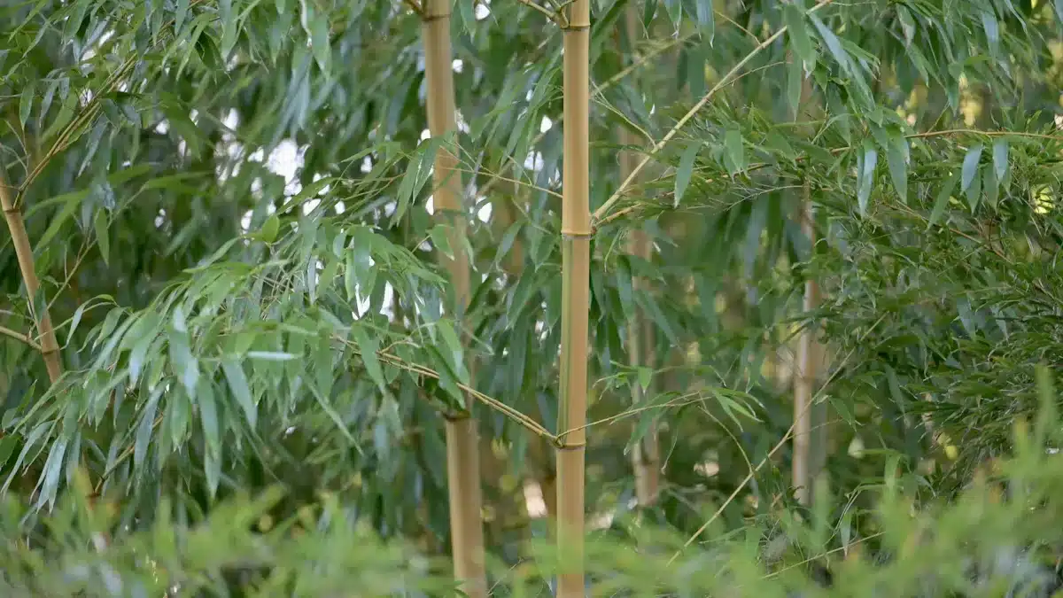 Bamboo Fibers and Temperature-Regulating Properties